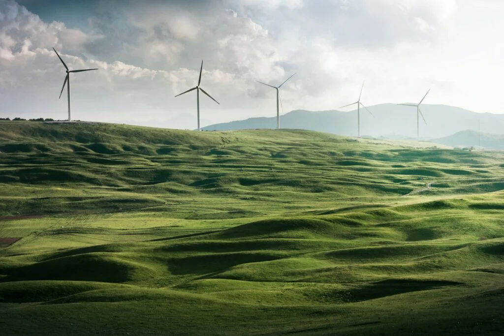 A field with wind turbines harnessing the power of the breeze to generate electricity.